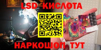 скорость Кингисепп