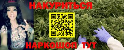 скорость Кингисепп