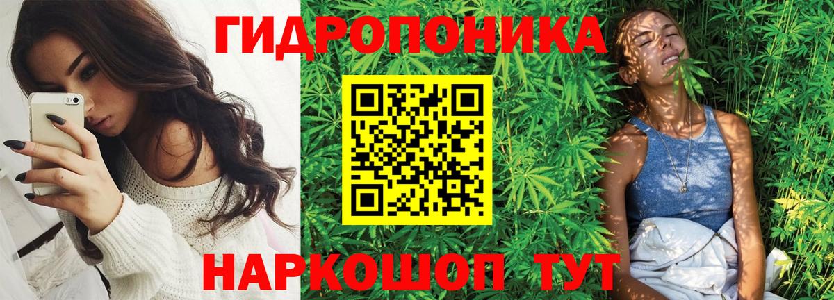 Конопля White Widow  Шишки марихуана марихуана  Марихуана MAZAR  Королёв  Вход с VPN 